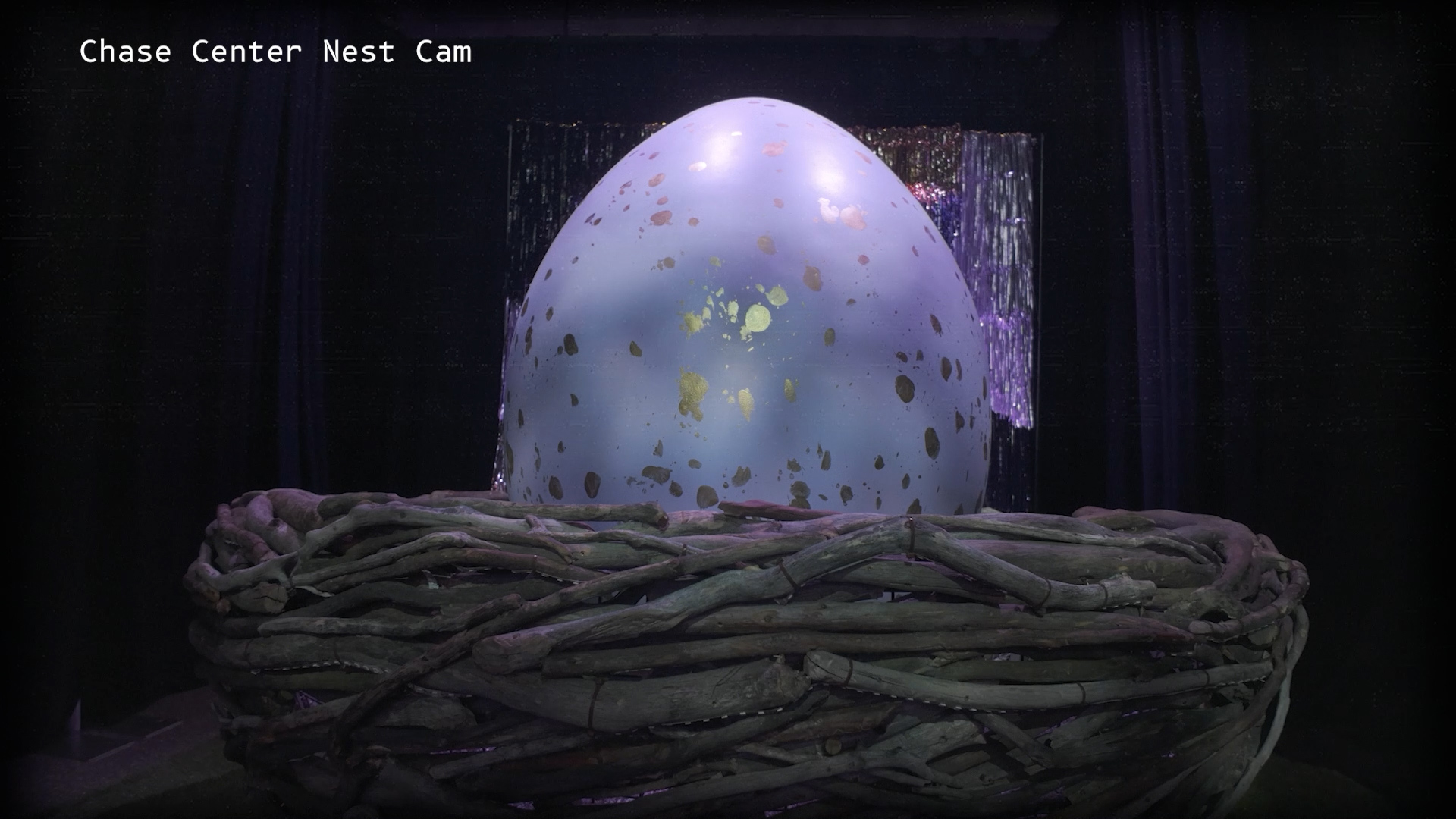 Chase Center Nest Cam